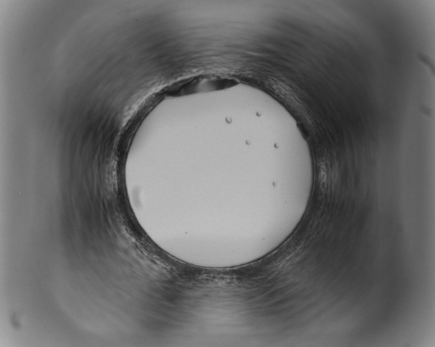 X0000099430676200806061020