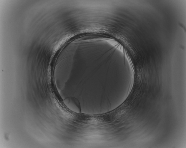 X0000099430678200806061020