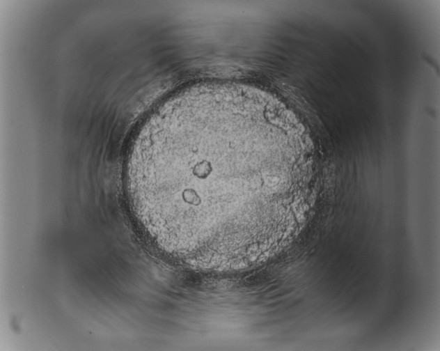 X0000099430679200806061020