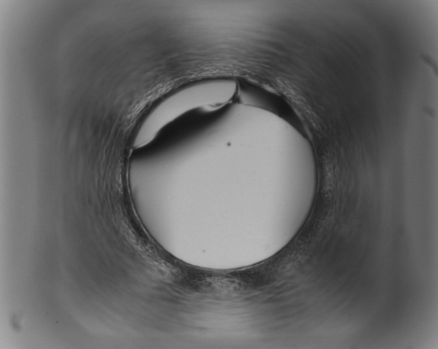 X0000099430681200806061020