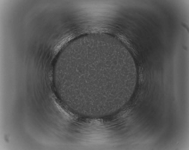 X0000099430683200806061020