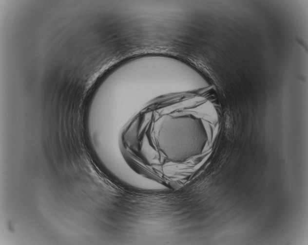 X0000099430684200806061020