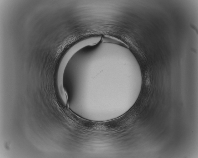 X0000099430685200806061020