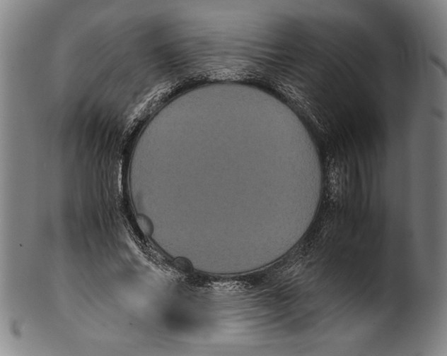 X0000099430686200806061020