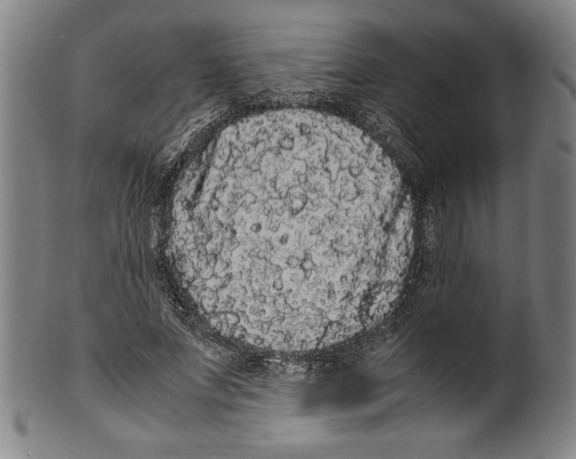 X0000099430687200806061020