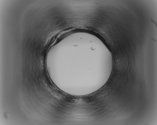 X0000099430688200806061020