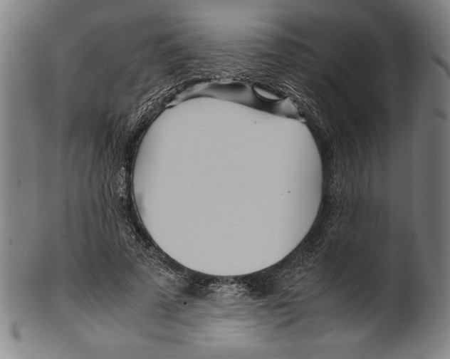 X0000099430689200806061020