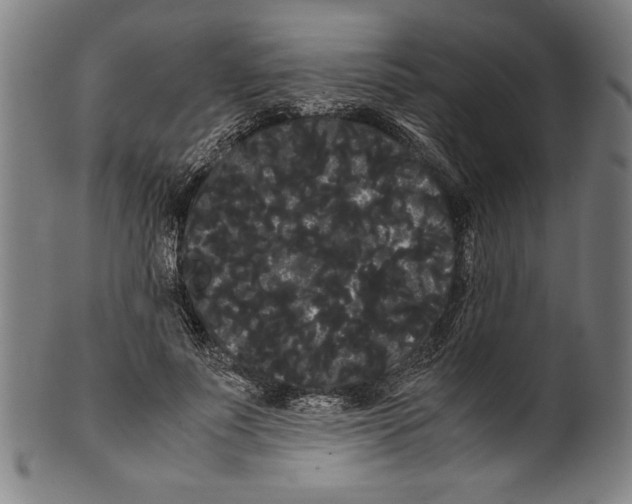 X0000099430691200806061020