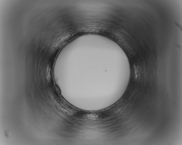 X0000099430692200806061020