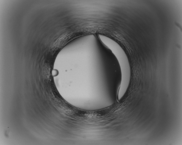 X0000099430693200806061020