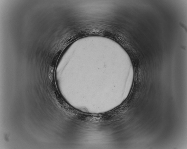 X0000099430695200806061020