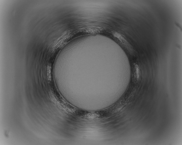 X0000099430696200806061019