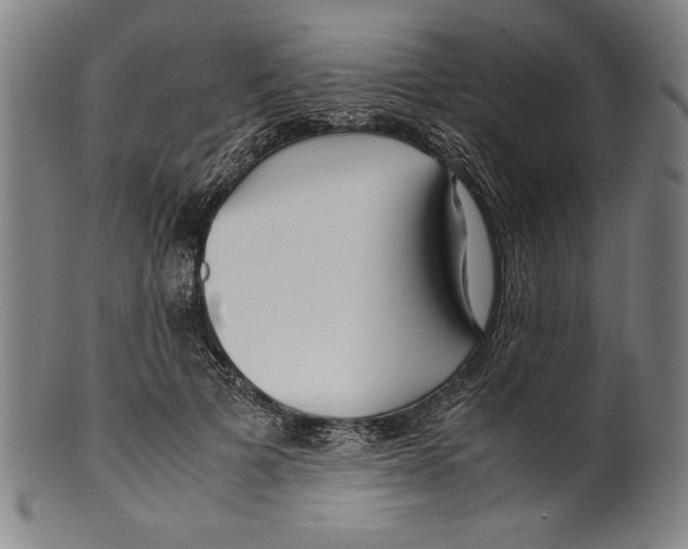 X0000099430697200806061019