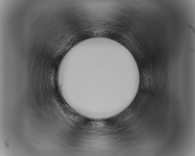 X0000099430698200806061019