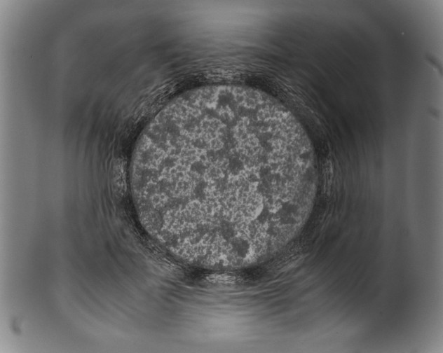 X0000099430699200806061019