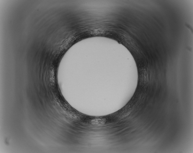 X0000099430700200806061019