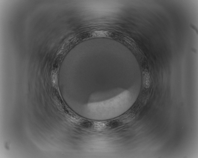 X0000099430701200806061019