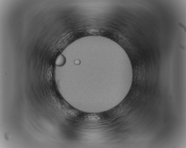 X0000099430702200806061019