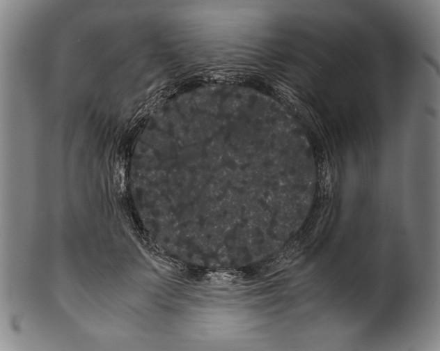 X0000099430703200806061019