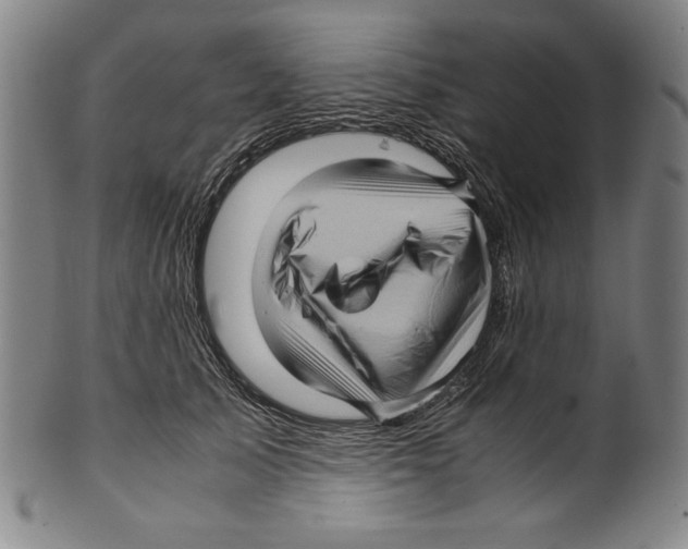 X0000099430705200806061019