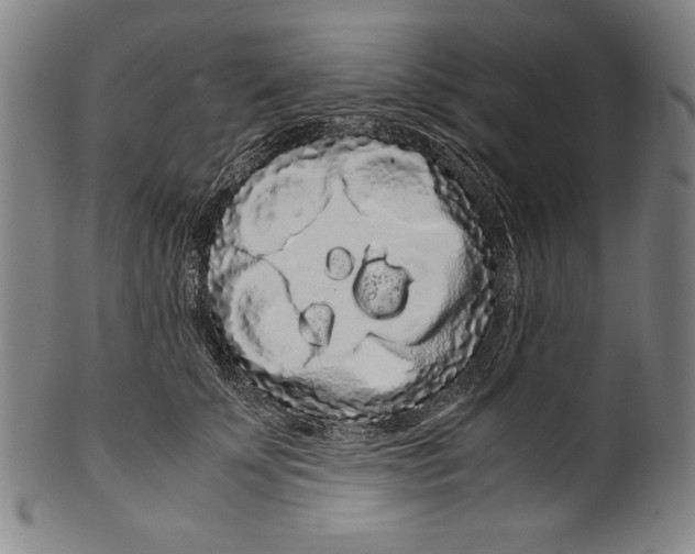 X0000099430707200806061019