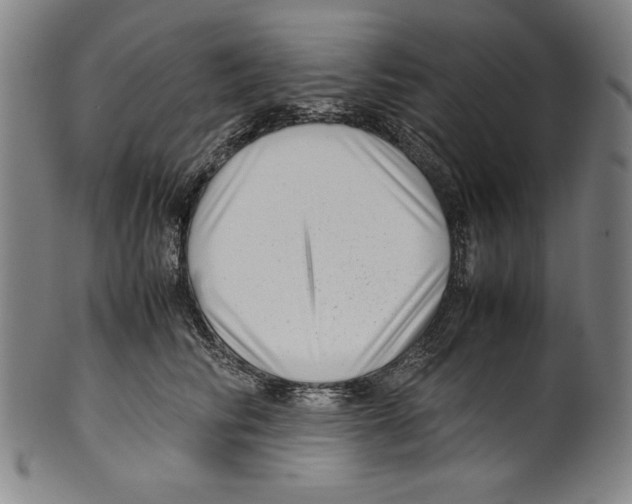 X0000099430710200806061019