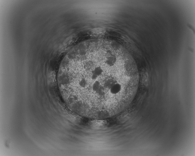 X0000099430711200806061019