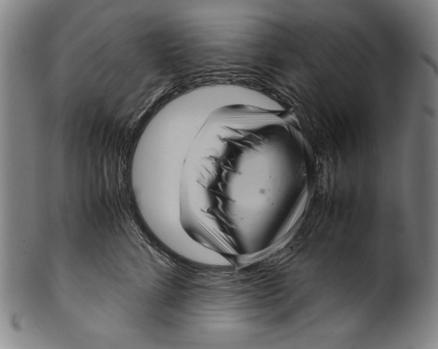 X0000099430712200806061019