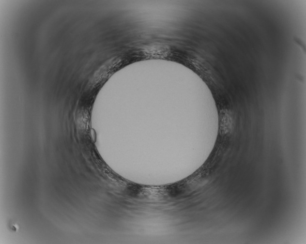 X0000099430713200806061019