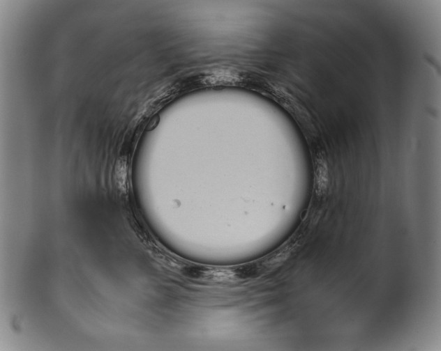 X0000099430715200806061019