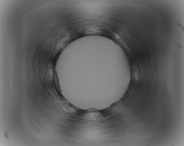 X0000099430716200806061019