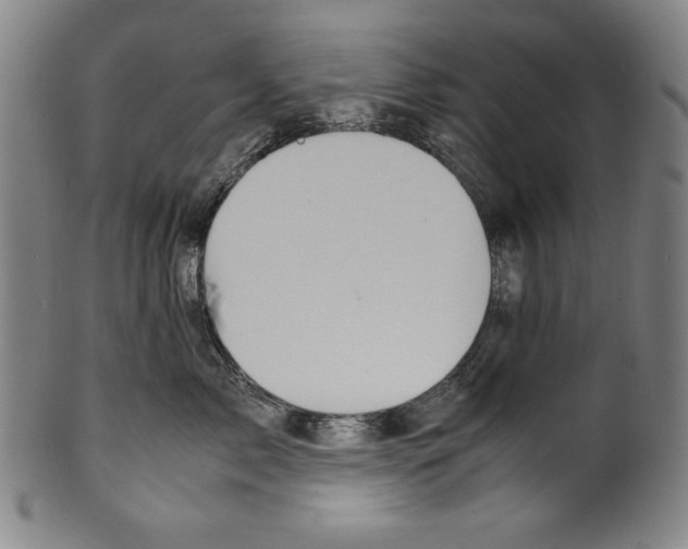 X0000099430717200806061019