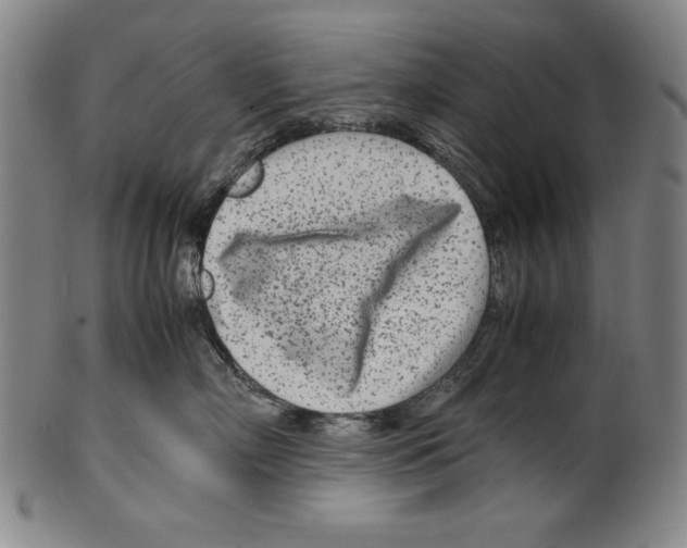 X0000099430718200806061019