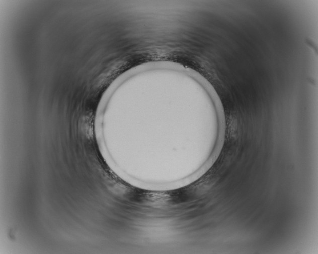 X0000099430719200806061019