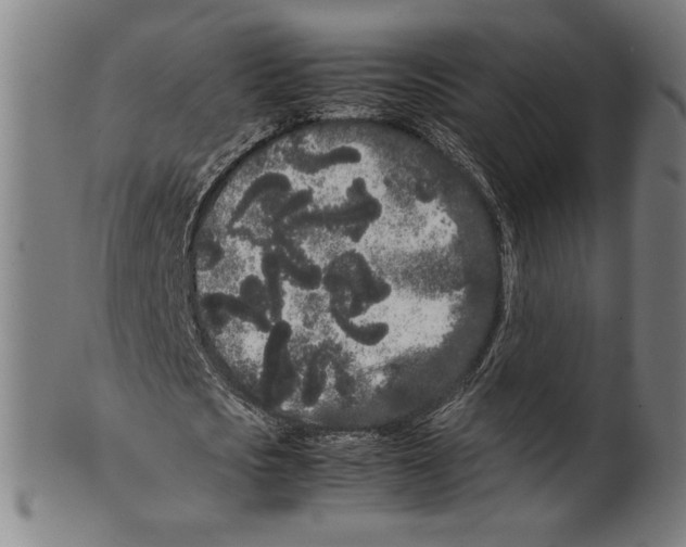 X0000099430721200806061018