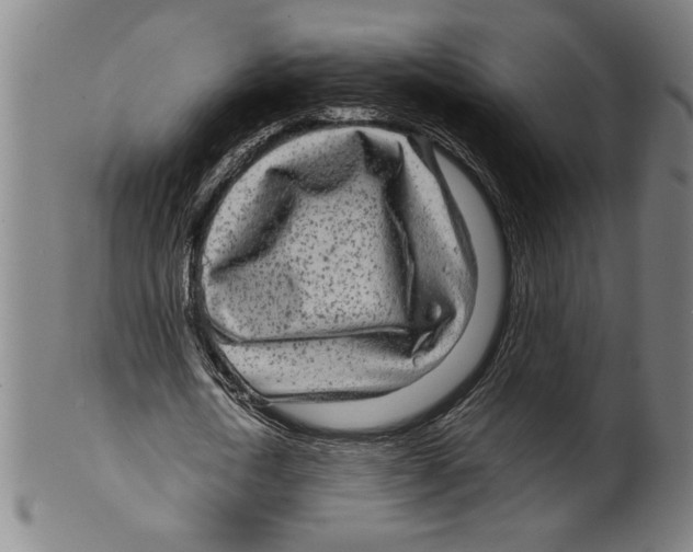 X0000099430722200806061018