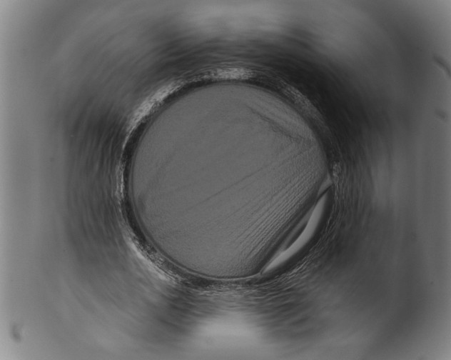 X0000099430726200806061019