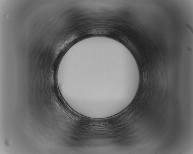 X0000099430727200806061019