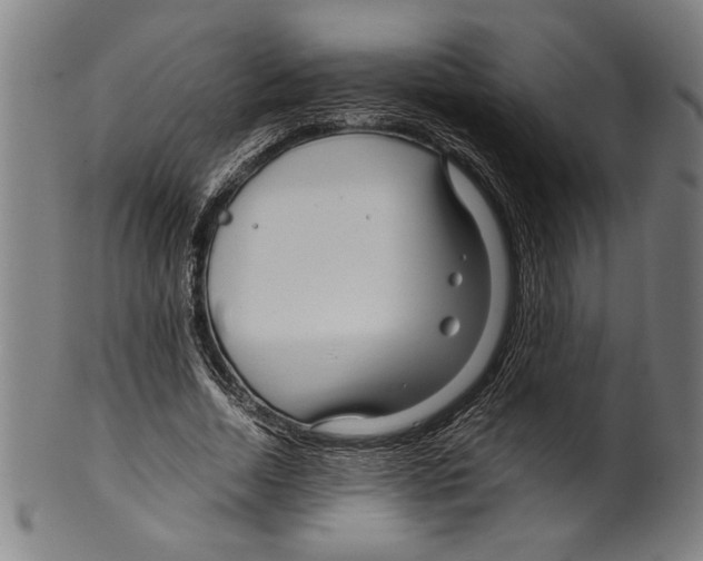 X0000099430730200806061019