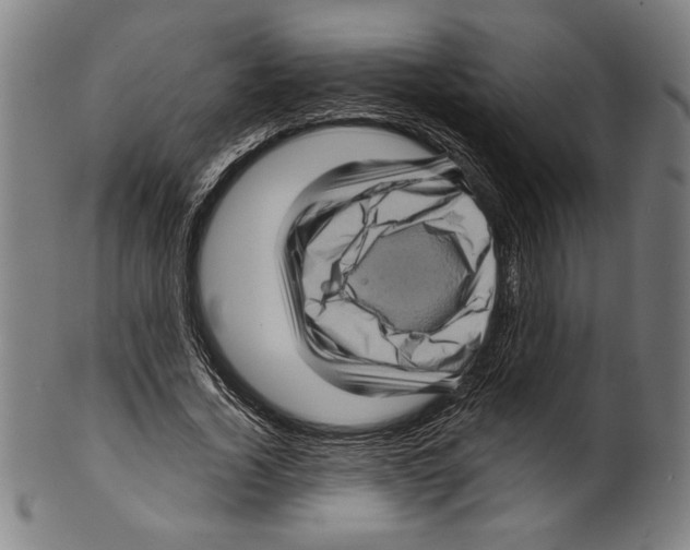 X0000099430732200806061019