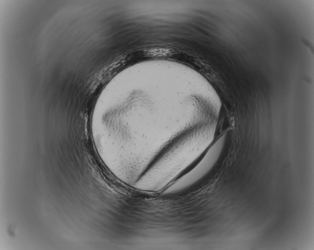 X0000099430733200806061019