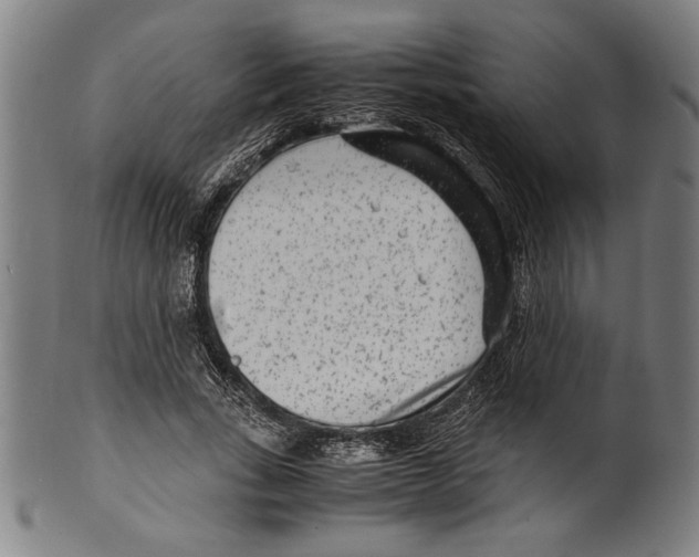 X0000099430735200806061019