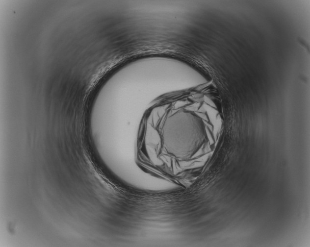 X0000099430736200806061019