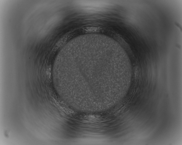 X0000099430737200806061019