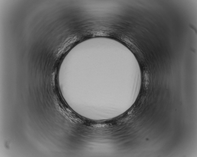 X0000099430738200806061019