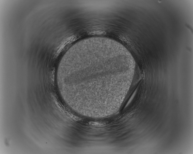 X0000099430739200806061019