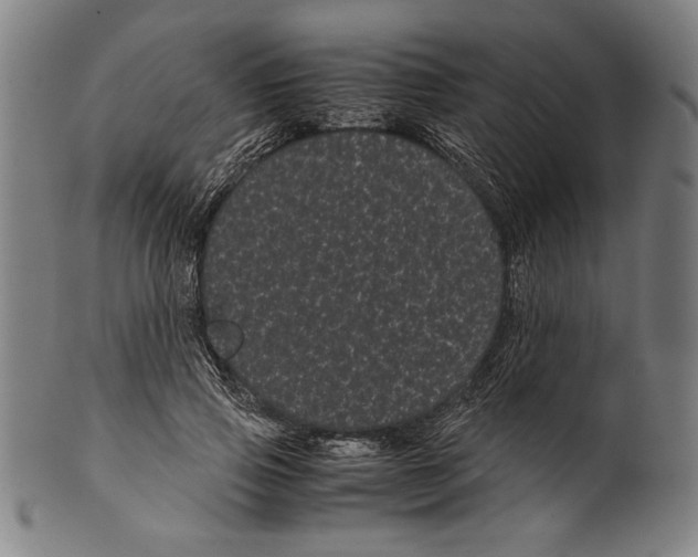 X0000099430741200806061019