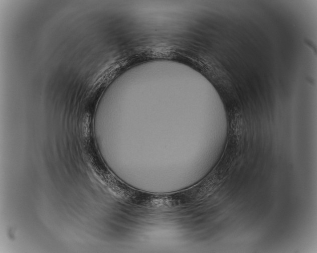 X0000099430744200806061019