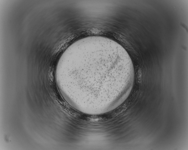 X0000099430746200806061019