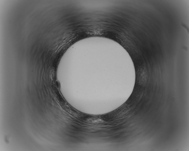 X0000099430747200806061019